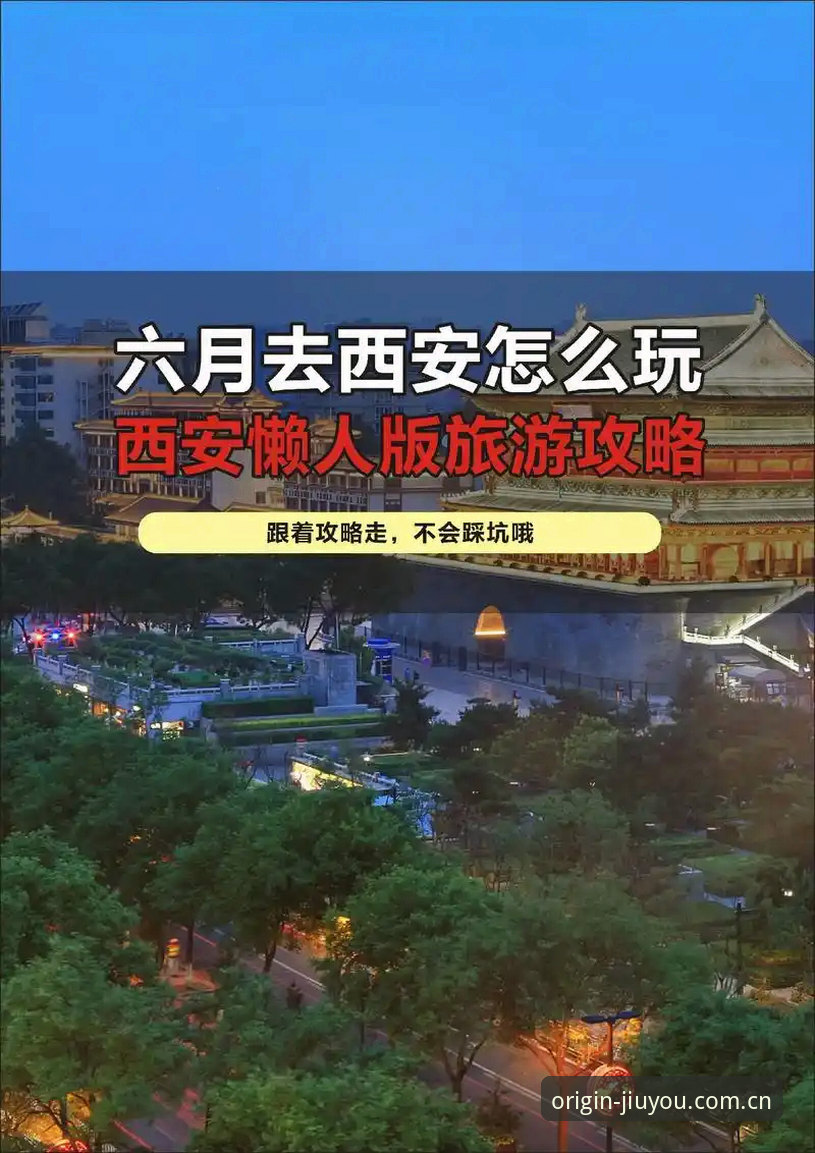 九游官网最新版 九游官网最新版完整使用指南:从安装到体育直播投注的实战操作手册